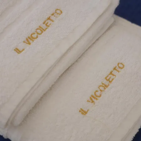 Couette-café Il Vicoletto - In Pieno Centro 3*